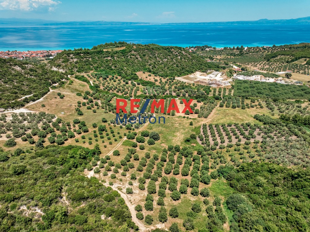 Αγροτεμάχια 6.030,86 τ.μ. πρός πώληση, Χαλκιδική, Παλλήνη
