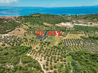 Αγροτεμάχια 6.030,86 τ.μ. για πώληση