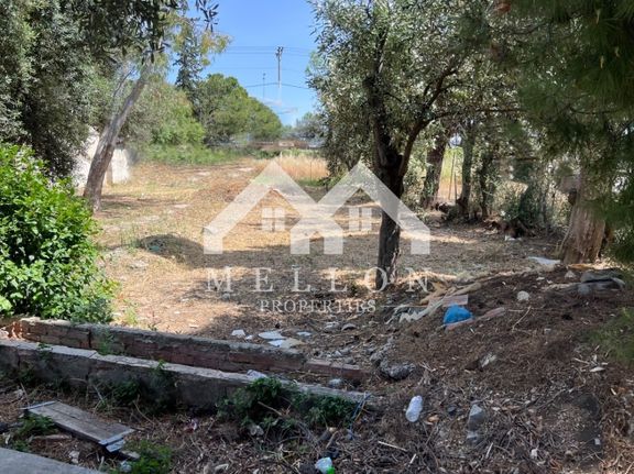 Land plot 350 sqm for rent, Athens - North, Kifisia