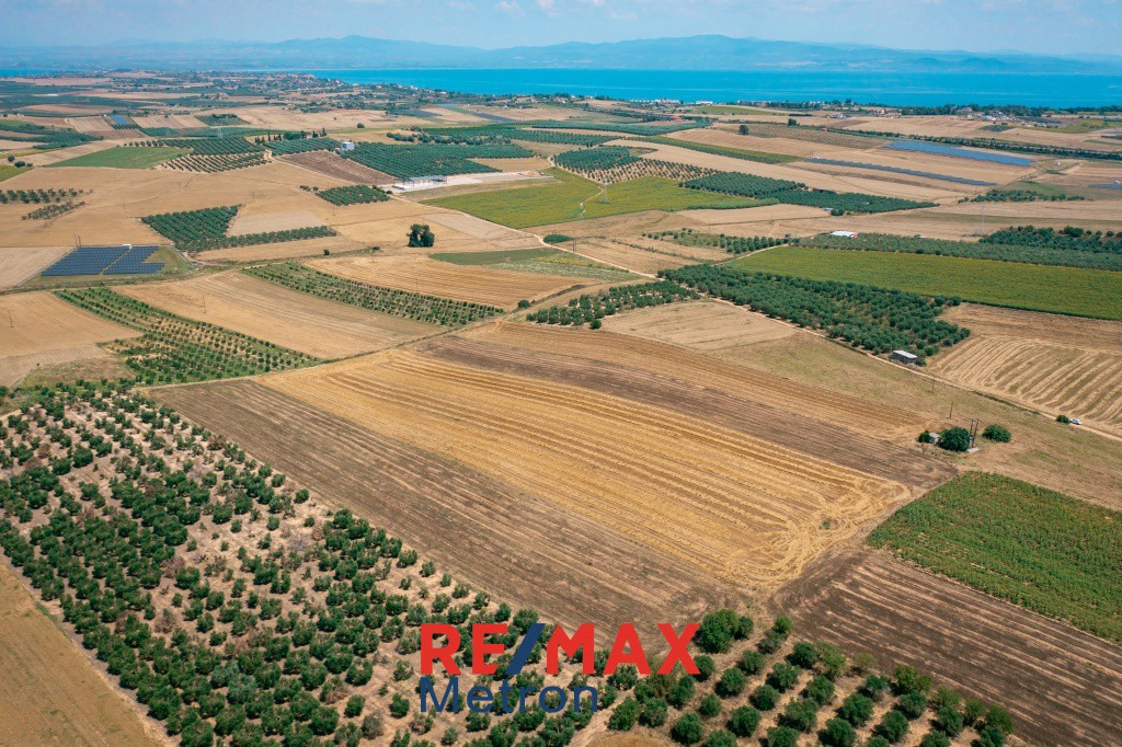 Αγροτεμάχια 9.250 τ.μ. πρός πώληση, Χαλκιδική, Κασσάνδρα