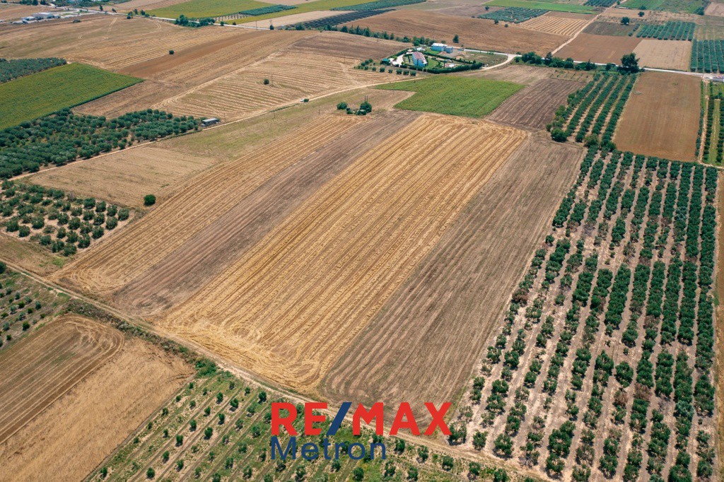 Αγροτεμάχια 9.250 τ.μ. πρός πώληση, Χαλκιδική, Κασσάνδρα
