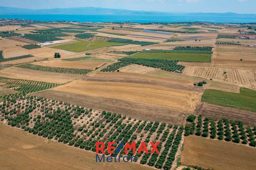 Αγροτεμάχια 9.250 τ.μ. πρός πώληση, Χαλκιδική, Κασσάνδρα