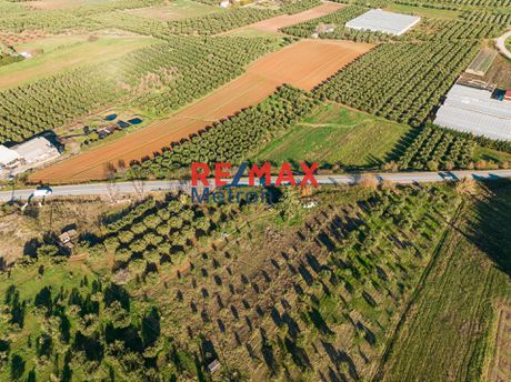 Parcel 6.593,49sqm for sale-Moudania