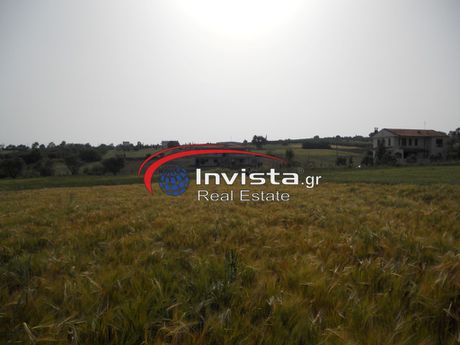 Αγροτεμάχια 4.078τ.μ. για πώληση-Θέρμη » Τρίλοφο