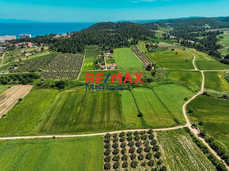 Αγροτεμάχια 2.755,13τ.μ. για πώληση-Κασσάνδρα