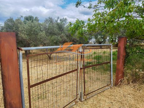 Parcel 2.000sqm for sale-Alexandroupoli » Nea Chili