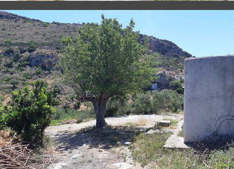 Μονοκατοικία 4.200 τ.μ. για πώληση