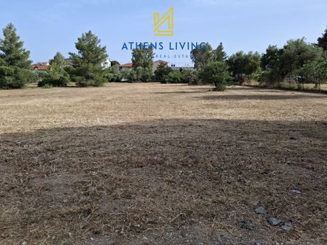 Οικόπεδο 4.500 τ.μ. για πώληση