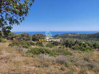 Οικόπεδο 3.800 τ.μ. για πώληση