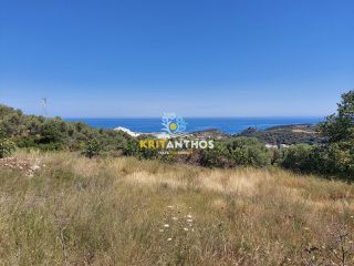 Οικόπεδο 3.800 τ.μ. για πώληση, Ν. Ρεθύμνου, Ρέθυμνο-thumb-5