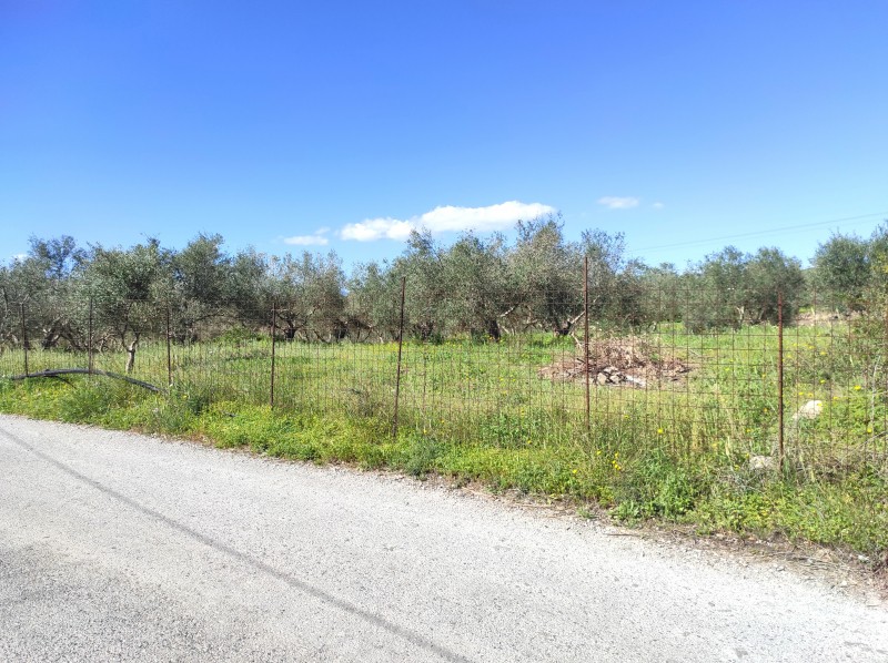 Οικόπεδο 3.059 τ.μ. πρός πώληση, Ν. Ρεθύμνου, Αρκάδι