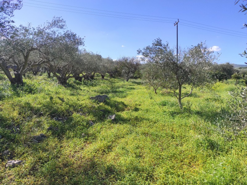 Οικόπεδο 3.059 τ.μ. πρός πώληση, Ν. Ρεθύμνου, Αρκάδι