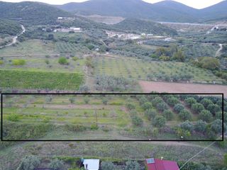 Αγροτεμάχια 6.900 τ.μ. για πώληση, Ν. Καβάλας, Ελευθερές-thumb-5