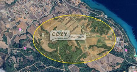 Οικόπεδο 962τ.μ. για πώληση-Κασσάνδρα » Νέα φώκαια