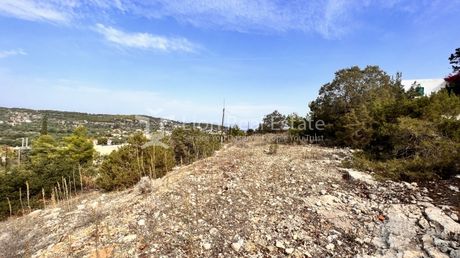Οικόπεδο 1.700τ.μ. για πώληση-Αίγινα » Μεσαγρός