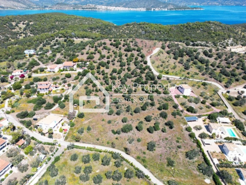 Αγροτεμάχια 19.051 τ.μ. πρός πώληση, Αργολίδα, Ερμιόνη