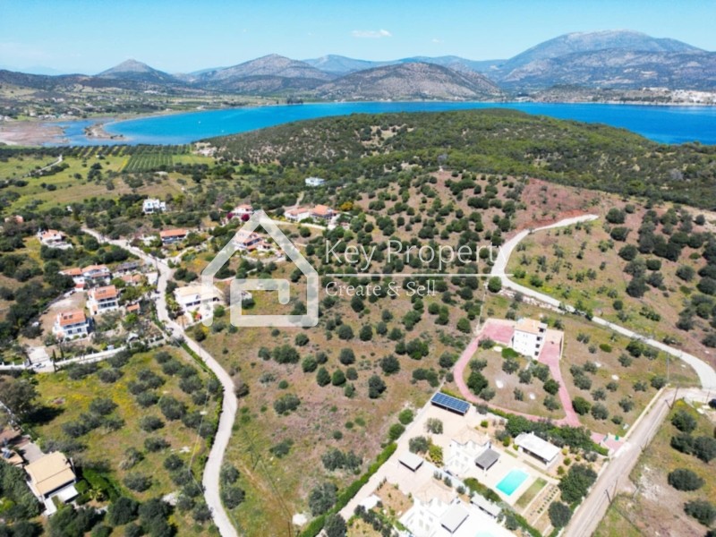Αγροτεμάχια 19.051 τ.μ. πρός πώληση, Αργολίδα, Ερμιόνη