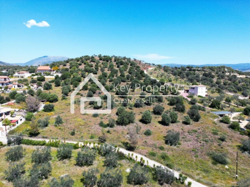 Αγροτεμάχια 19.051 τ.μ. πρός πώληση, Αργολίδα, Ερμιόνη