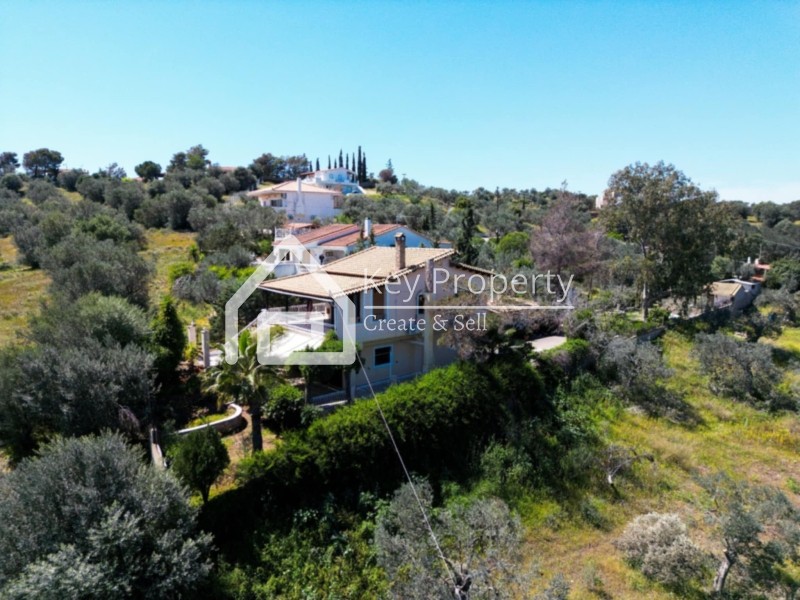 Αγροτεμάχια 19.051 τ.μ. πρός πώληση, Αργολίδα, Ερμιόνη