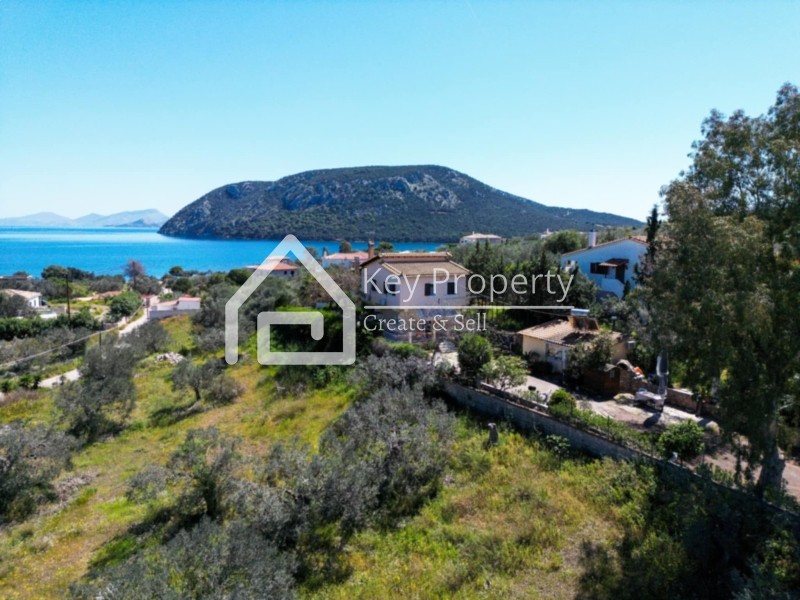 Αγροτεμάχια 19.051 τ.μ. πρός πώληση, Αργολίδα, Ερμιόνη