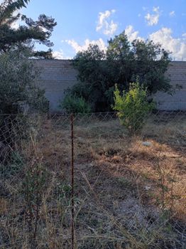 Οικόπεδο 200 τ.μ. για πώληση