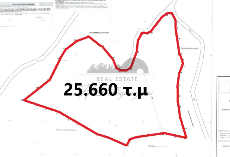 Αγροτεμάχια 25.660 τ.μ. πρός πώληση, Μαγνησία, Φερών