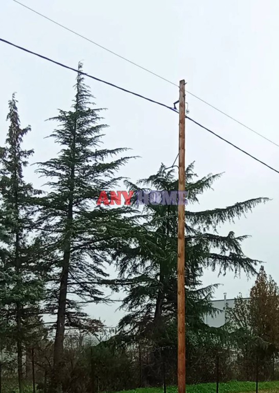 Αγροτεμάχια 5.340 τ.μ. προς πώληση, Λουτρά Λαγκαδά