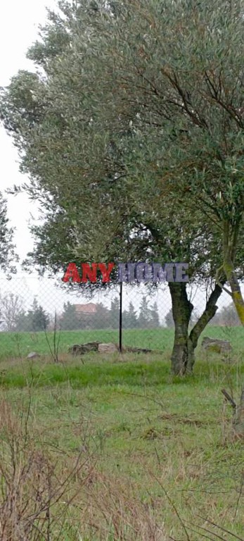 Αγροτεμάχια 5.340 τ.μ. προς πώληση, Λουτρά Λαγκαδά