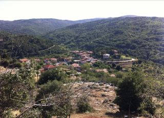 Οικόπεδο 537 τ.μ. για πώληση, Λακωνία, Καρυές-thumb-4