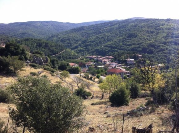 Οικόπεδο 537 τ.μ. για πώληση, Λακωνία, Καρυές