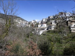 Οικόπεδο 537 τ.μ. για πώληση, Λακωνία, Καρυές-thumb-8