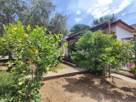 Detached home 50sqm for sale-Agria » Anemoutsa