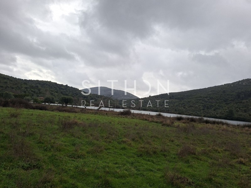 Αγροτεμάχια 1.592 τ.μ. προς πώληση, Κουφός Τορώνης