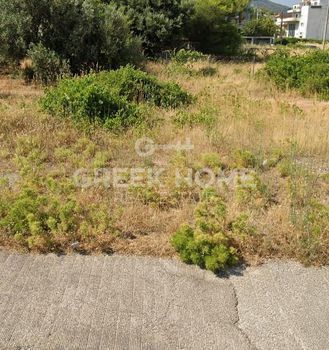 Οικόπεδο 300τ.μ. για πώληση-Αγία παρασκευή » Πευκάκια