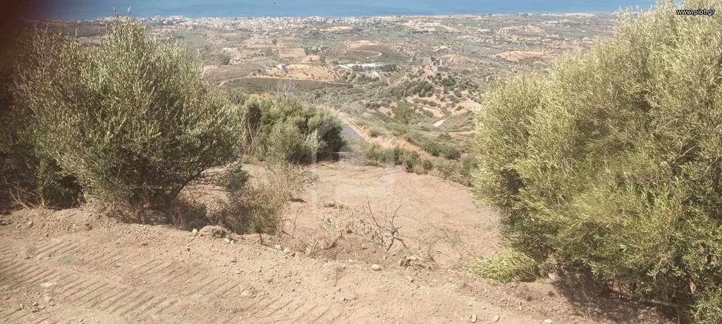 Αγροτεμάχια 2.030 τ.μ. πρός πώληση, Λακωνία, Βοϊων