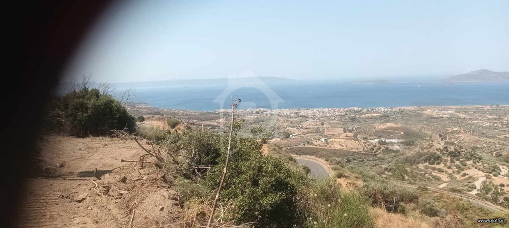 Αγροτεμάχια 2.030 τ.μ. πρός πώληση, Λακωνία, Βοϊων