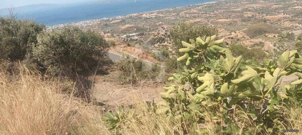Αγροτεμάχια 2.030 τ.μ. πρός πώληση, Λακωνία, Βοϊων