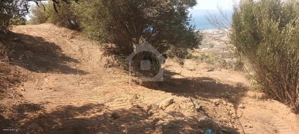 Αγροτεμάχια 2.030 τ.μ. πρός πώληση, Λακωνία, Βοϊων