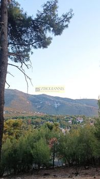 Οικόπεδο 830 τ.μ. για πώληση