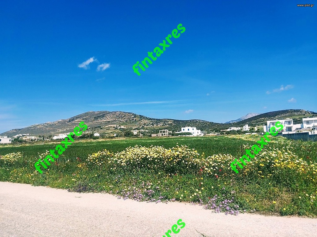 Οικόπεδο 6.200 τ.μ. πρός πώληση, Κυκλάδες, Νάξος