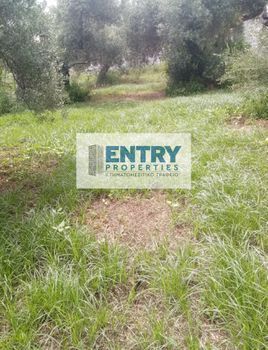 Οικόπεδο 485 τ.μ. για πώληση