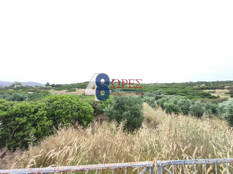 Αγροτεμάχια 531 τ.μ. προς πώληση, Μαστιχοχώρια