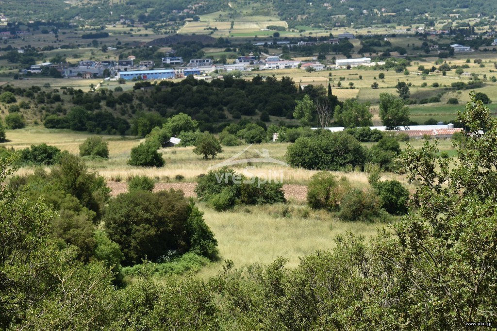 Αγροτεμάχια 6.500 τ.μ. προς πώληση, Ιωάννινα