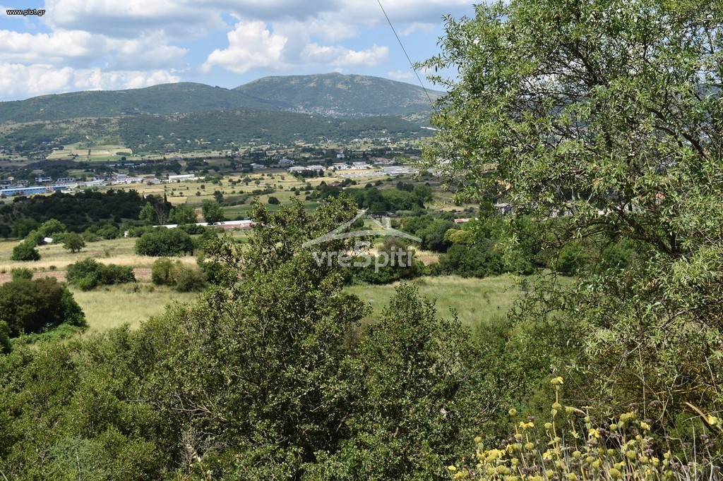 Αγροτεμάχια 6.500 τ.μ. προς πώληση, Ιωάννινα