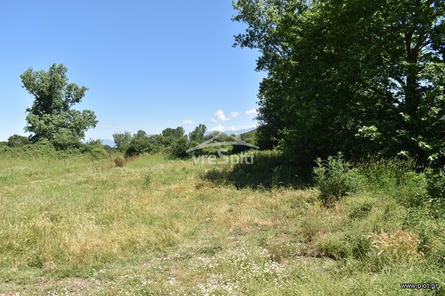 Άλλο 5.000 τ.μ. για πώληση, Ν. Ιωαννίνων, Άγιος Δημήτριος