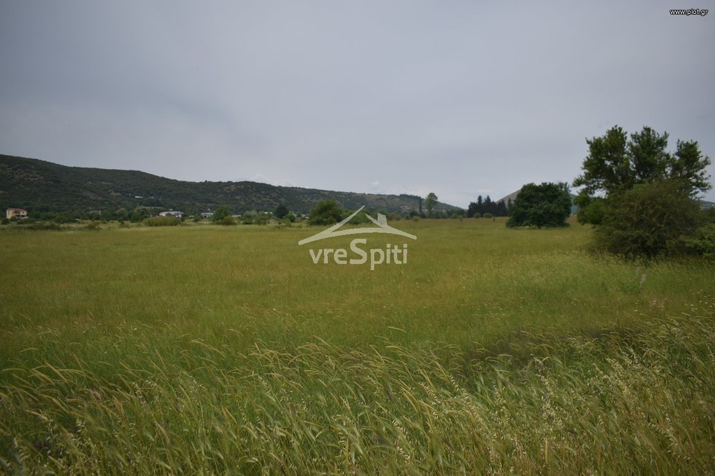 Αγροτεμάχια 14.000 τ.μ. πρός πώληση, Ν. Ιωαννίνων, Πασσαρώνα