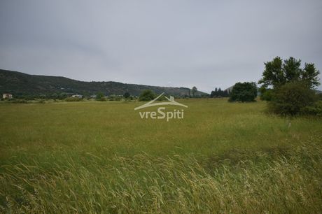 Other 14.000sqm for sale-Passarona » Vounoplagia