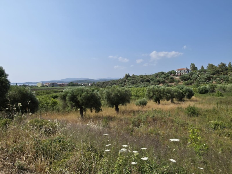 Οικόπεδο 580 τ.μ. προς πώληση, Παλιά Σπίτια