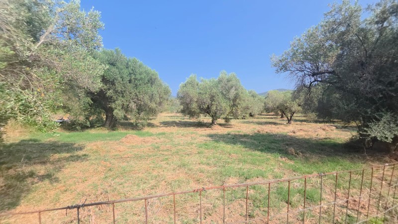 Οικόπεδο 2.349 τ.μ. προς πώληση, Κουφός Τορώνης