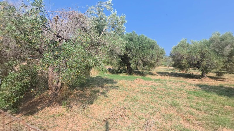 Οικόπεδο 2.349 τ.μ. προς πώληση, Κουφός Τορώνης